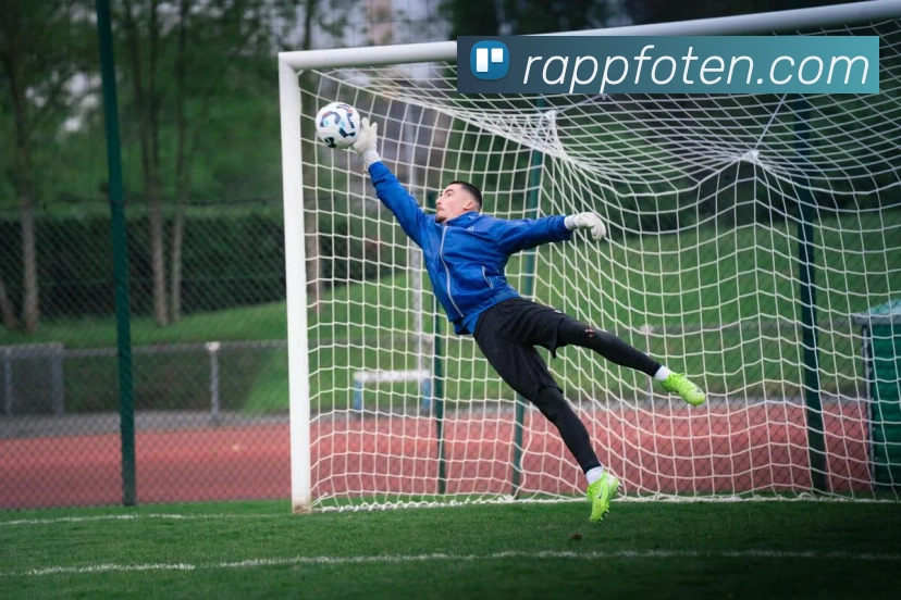App界面